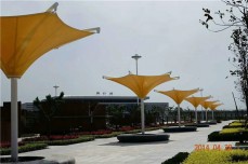园林景观系列078