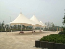 园林景观系列080